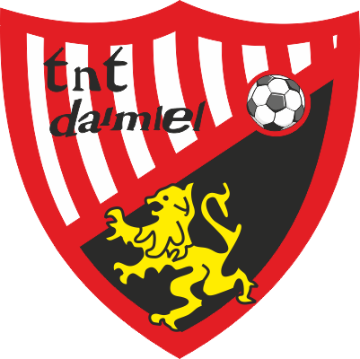 TNT Daimiel Club de Fútbol